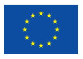 EU Logo web